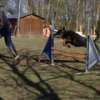 entrainement 02-03-2014