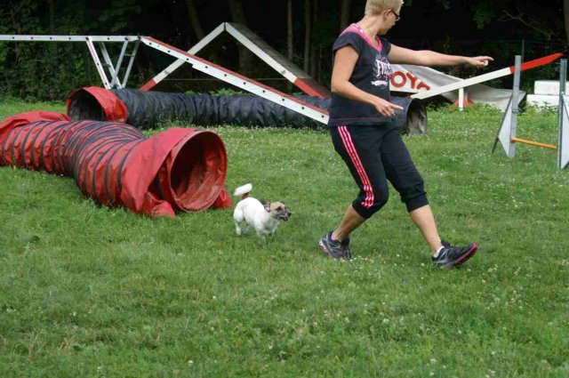 agility 2014-08-14