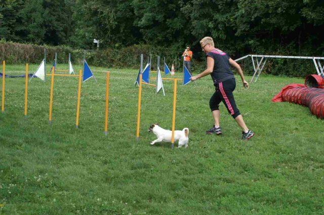 agility 2014-08-14