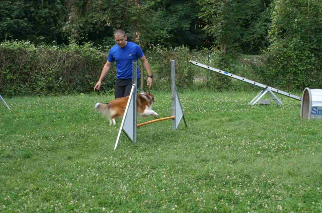 agility 2014-08-14