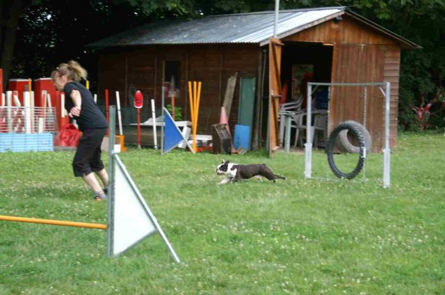agility 2014-08-14