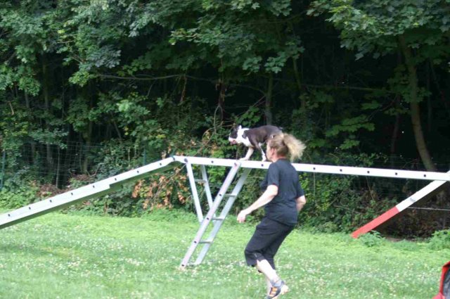 agility 2014-08-14