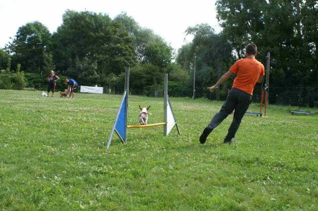 agility 2014-08-14