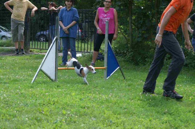 agility 2014-08-14