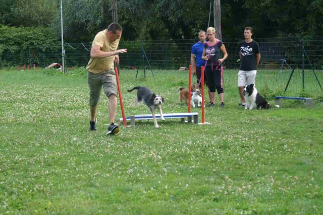 agility 2014-08-14
