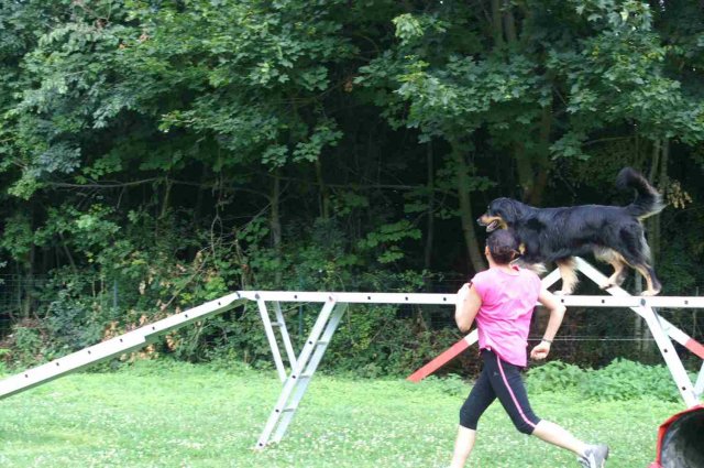 agility 2014-08-14