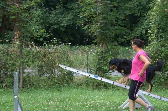 agility 2014-08-14