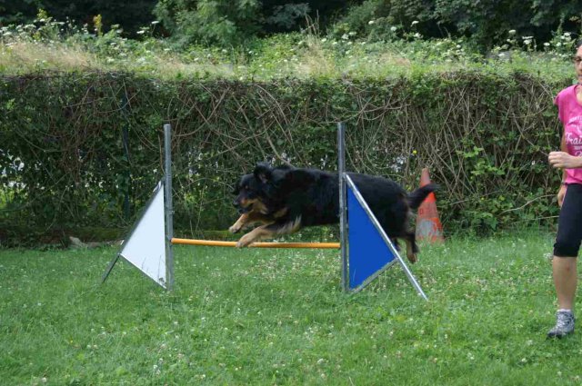agility 2014-08-14