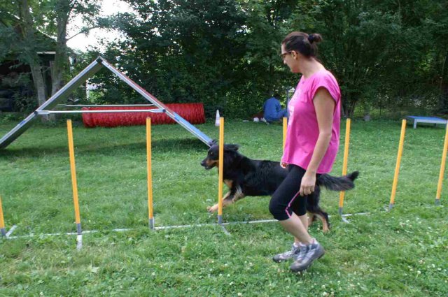 agility 2014-08-14