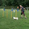 agility 2014-08-14