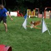 agility 2014-08-14