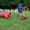 agility 2014-08-14