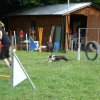 agility 2014-08-14