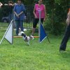 agility 2014-08-14