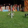 agility 2014-08-14
