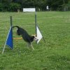 agility 2014-08-14