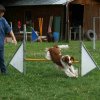 agility 2014-08-14