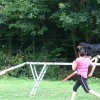 agility 2014-08-14