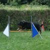 agility 2014-08-14