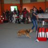 championnat de france jeune concucteur