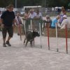2009-08-30-vert-le-grand