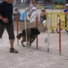 2009-08-30-vert-le-grand