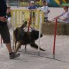 2009-08-30-vert-le-grand