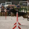 2009-08-30-vert-le-grand