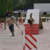 2009-08-30-vert-le-grand