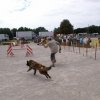 2009-08-30-vert-le-grand