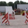 2009-08-30-vert-le-grand