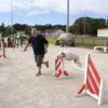 2009-08-30-vert-le-grand