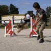 2009-08-30-vert-le-grand