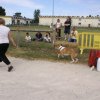 2009-08-30-vert-le-grand