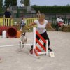 2009-08-30-vert-le-grand