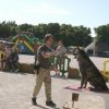 2009-08-30-vert-le-grand