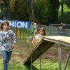 foire aux haricots septembre 2009