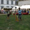 foire aux haricots septembre 2009