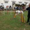 foire aux haricots septembre 2009