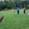 obeissance 2014-08-14