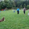 obeissance 2014-08-14